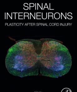 Spinal Interneurons - 1st Edition