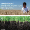 Marschner's Mineral Nutrition of Plants - 4th Edition