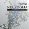 Neuroglia: Function and Pathology - 1st Edition