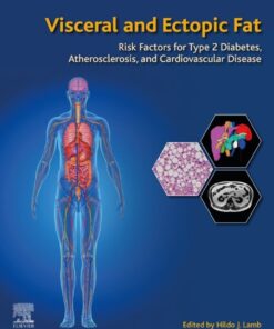 Visceral and Ectopic Fat - 1st Edition
