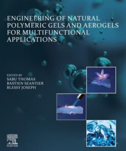 Engineering of Natural Polymeric Gels and Aerogels for Multifunctional  Applications - 1st Edition