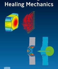 Scalar Damage and Healing Mechanics - 1st Edition