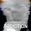 Neurocircuitry of Addiction - 1st Edition