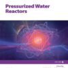 Pressurized Water Reactors - 1st Edition