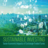 Sustainable Investing - 1st Edition