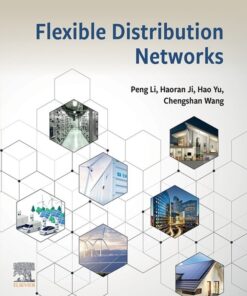 Flexible Distribution Networks - 1st Edition