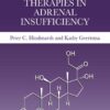 Replacement Therapies in Adrenal Insufficiency - 1st Edition