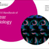 The EACVI Handbook of Nuclear Cardiology - 1st Edition