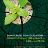 Democratic Consolidation and Constitutional Endurance in Asia and Africa - 1st Edition