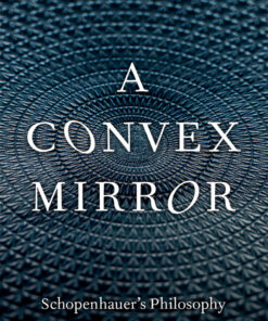 A Convex Mirror