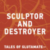 Sculptor and Destroyer