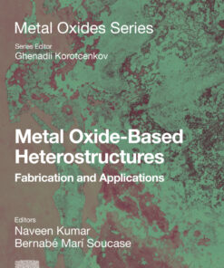 Metal Oxide-Based Heterostructures - 1st Edition
