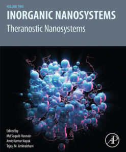 Inorganic Nanosystems - 1st Edition
