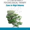 A Pragmatic Guide to Low Intensity Psychological Therapy - 1st Edition