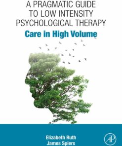 A Pragmatic Guide to Low Intensity Psychological Therapy - 1st Edition