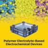 Polymer Electrolyte-Based Electrochemical Devices - 1st Edition