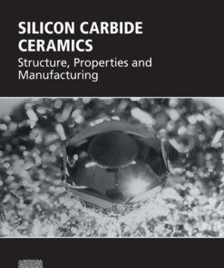 Silicon Carbide Ceramics - 1st Edition