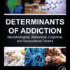 Determinants of Addiction - 1st Edition