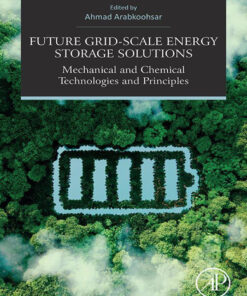 Future Grid-Scale Energy Storage Solutions - 1st Edition