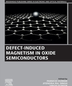 Defect-Induced Magnetism in Oxide Semiconductors - 1st Edition