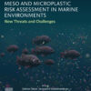 Meso and Microplastic Risk Assessment in Marine Environments - 1st Edition