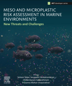 Meso and Microplastic Risk Assessment in Marine Environments - 1st Edition