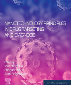 Nanotechnology Principles in Drug Targeting and Diagnosis - 1st Edition