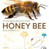 The Foraging Behavior of the Honey Bee (Apis mellifera, L.) - 1st Edition