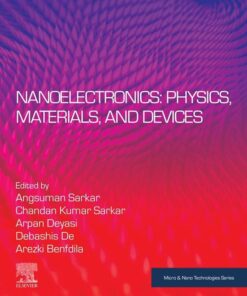 Nanoelectronics: Physics, Materials and Devices - 1st Edition