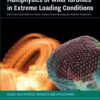 Multiphysics of Wind Turbines in Extreme Loading Conditions - 1st Edition