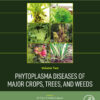 Phytoplasma Diseases of Major Crops, Trees, and Weeds - 1st Edition