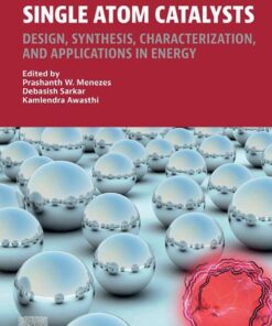 Single Atom Catalysts - 1st Edition