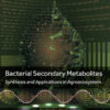 Bacterial Secondary Metabolites - 1st Edition