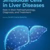 Sinusoidal Cells in Liver Diseases - 1st Edition