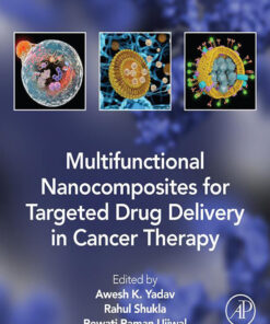 Multifunctional Nanocomposites for Targeted Drug Delivery in Cancer Therapy - 1st Edition
