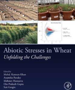 Abiotic Stresses in Wheat - 1st Edition