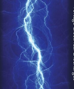 Processing of Food Products and Wastes with High Voltage Electrical Discharges - 1st Edition