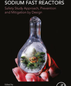 Severe Accidents in Sodium Fast Reactors