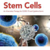 Stem Cells - 1st Edition
