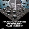 Polymeric Membrane Formation by Phase Inversion - 1st Edition