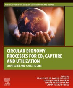 Circular Economy Processes for CO2 Capture and Utilization - 1st Edition