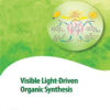 Visible Light-Driven Organic Synthesis - 1st Edition