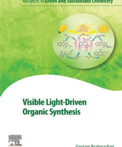 Visible Light-Driven Organic Synthesis - 1st Edition