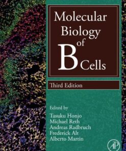 Molecular Biology of B Cells - 3rd Edition