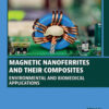Magnetic Nanoferrites and their Composites - 1st Edition
