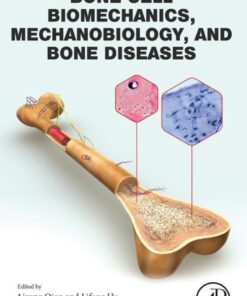 Bone Cell Biomechanics, Mechanobiology and Bone Diseases - 1st Edition