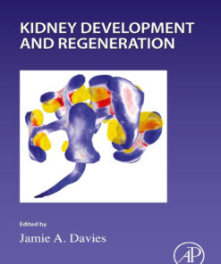 Kidney Development and Regeneration