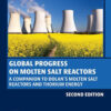 Global Progress on Molten Salt Reactors - 2nd Edition