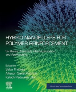 Hybrid Nanofillers for Polymer Reinforcement - 1st Edition
