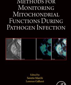 Methods for Monitoring Mitochondrial Functions During Pathogen Infection